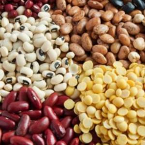 Lectins