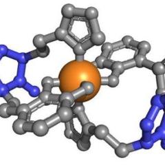 Virulence Factors